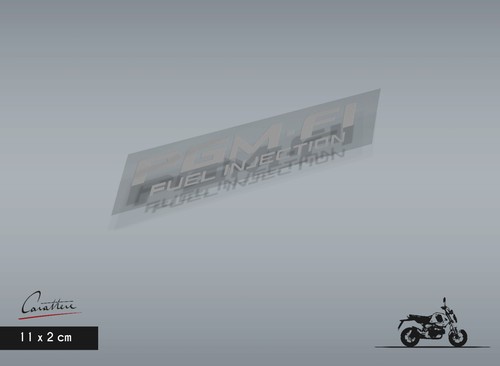 Coppia adesivi honda pgm - pgm, fi